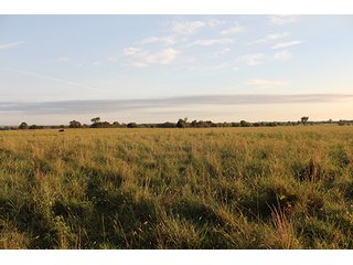 Tract 6 - LAND AUCTION - 440+/- Acres offered in 15 Tracts in Tulsa County